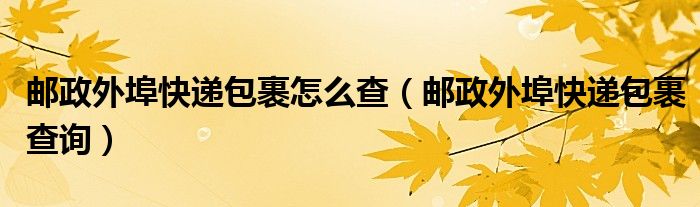 邮政外埠快递包裹怎么查（邮政外埠快递包裹查询）