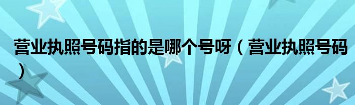 营业执照号码指的是哪个号呀（营业执照号码）