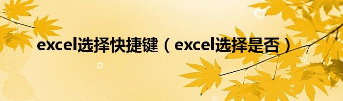 excel选择快捷键（excel选择是否）