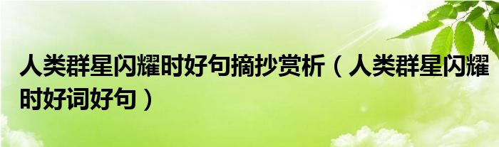 人类群星闪耀时好句摘抄赏析（人类群星闪耀时好词好句）
