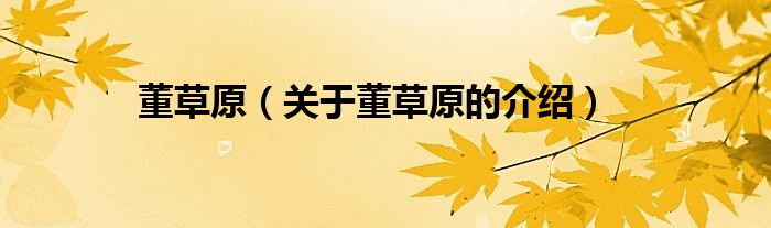 董草原（关于董草原的介绍）