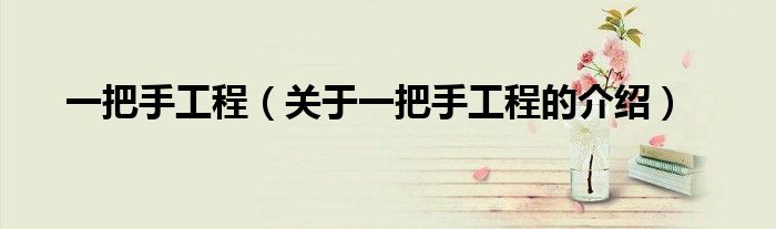 一把手工程（关于一把手工程的介绍）