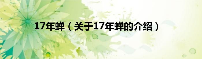 17年蝉（关于17年蝉的介绍）