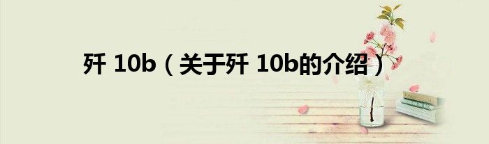 歼 10b（关于歼 10b的介绍）