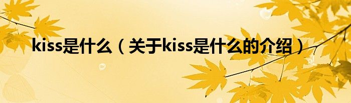 kiss是什么（关于kiss是什么的介绍）