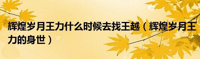 辉煌岁月王力什么时候去找王越（辉煌岁月王力的身世）
