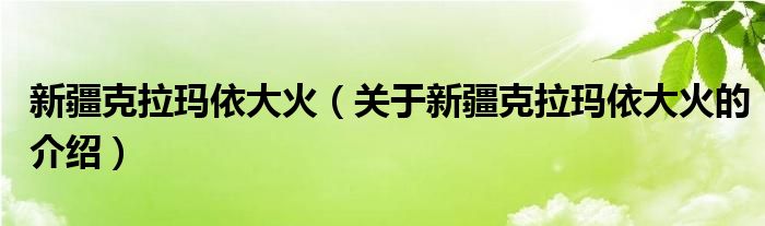 新疆克拉玛依大火（关于新疆克拉玛依大火的介绍）