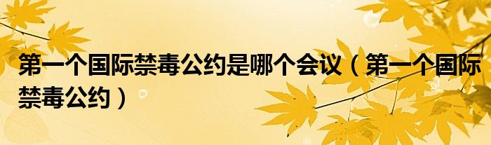 第一个国际禁毒公约是哪个会议（第一个国际禁毒公约）