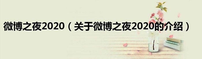 微博之夜2020（关于微博之夜2020的介绍）