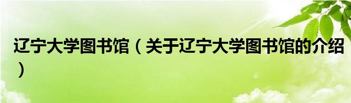 辽宁大学图书馆（关于辽宁大学图书馆的介绍）