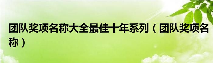 团队奖项名称大全最佳十年系列（团队奖项名称）