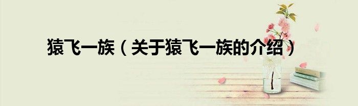 猿飞一族（关于猿飞一族的介绍）