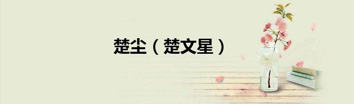 楚尘（楚文星）