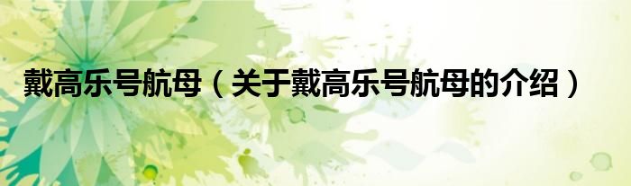 戴高乐号航母（关于戴高乐号航母的介绍）