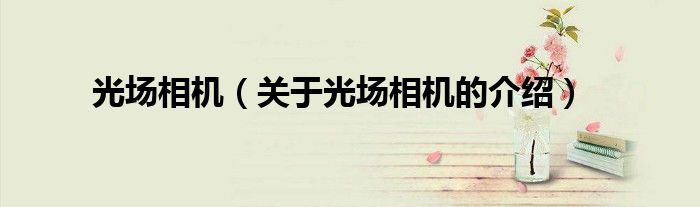 光场相机（关于光场相机的介绍）