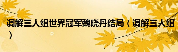 调解三人组世界冠军魏晓丹结局（调解三人组）