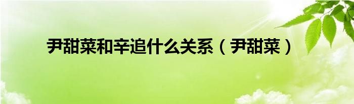 尹甜菜和辛追什么关系（尹甜菜）