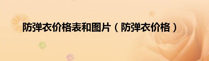 防弹衣价格表和图片（防弹衣价格）