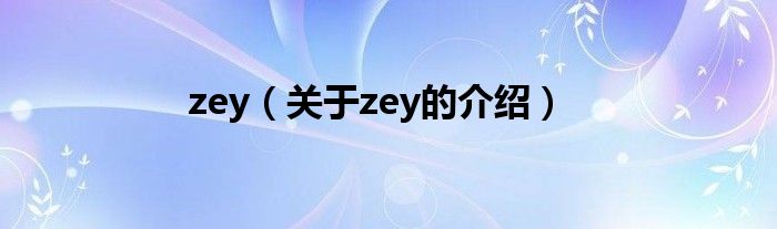 zey（关于zey的介绍）