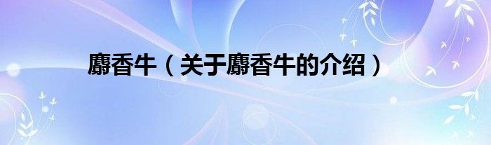 麝香牛（关于麝香牛的介绍）