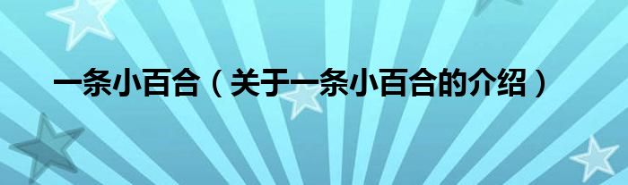 一条小百合（关于一条小百合的介绍）