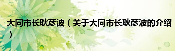 大同市长耿彦波（关于大同市长耿彦波的介绍）