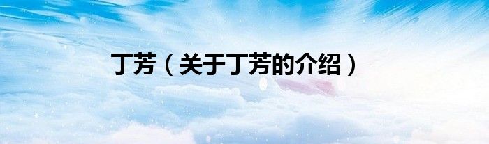 丁芳（关于丁芳的介绍）