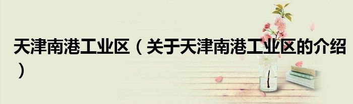 天津南港工业区（关于天津南港工业区的介绍）