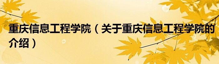 重庆信息工程学院（关于重庆信息工程学院的介绍）