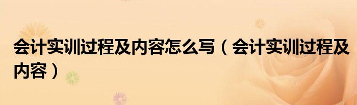 会计实训过程及内容怎么写（会计实训过程及内容）