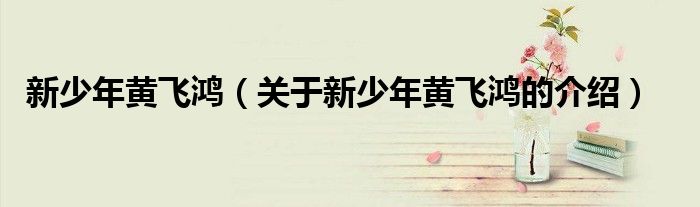 新少年黄飞鸿（关于新少年黄飞鸿的介绍）
