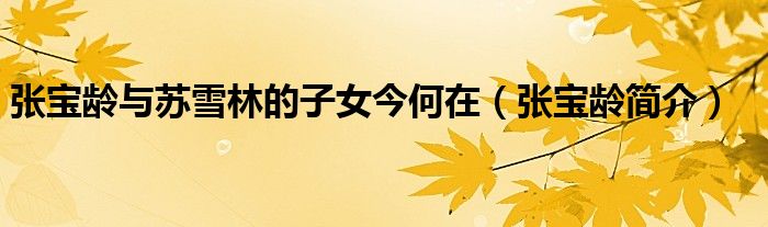 张宝龄与苏雪林的子女今何在（张宝龄简介）