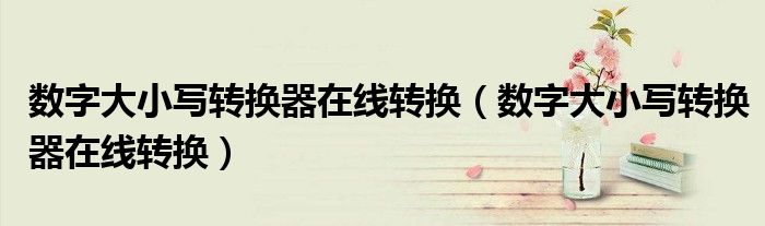 数字大小写转换器在线转换（数字大小写转换器在线转换）