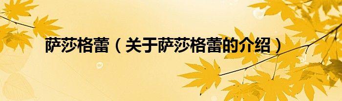 萨莎格蕾（关于萨莎格蕾的介绍）