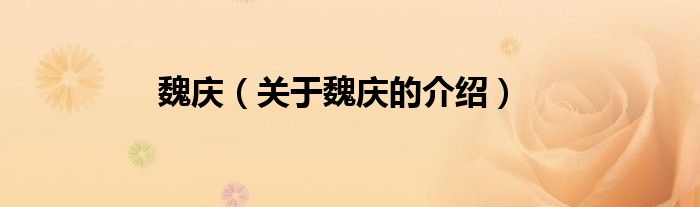 魏庆（关于魏庆的介绍）