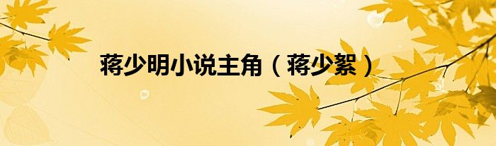 蒋少明小说主角（蒋少絮）