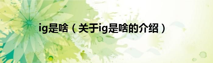 ig是啥（关于ig是啥的介绍）