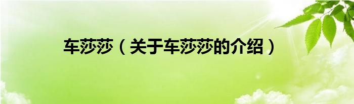 车莎莎（关于车莎莎的介绍）
