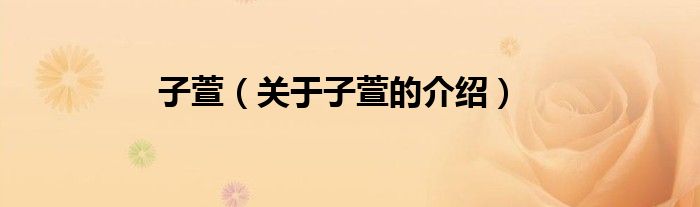 子萱（关于子萱的介绍）