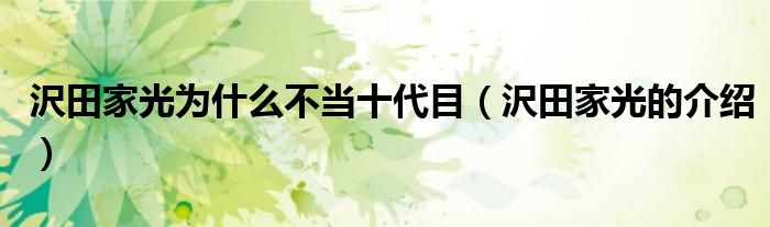 沢田家光为什么不当十代目（沢田家光的介绍）