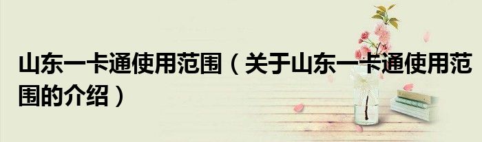 山东一卡通使用范围（关于山东一卡通使用范围的介绍）