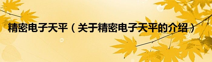 精密电子天平（关于精密电子天平的介绍）