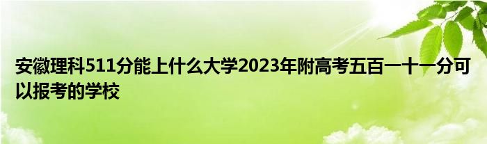 安徽理科511分能上什么大学2023年附高考五百一十一分可以报考的学校