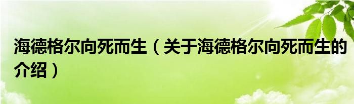 海德格尔向死而生（关于海德格尔向死而生的介绍）