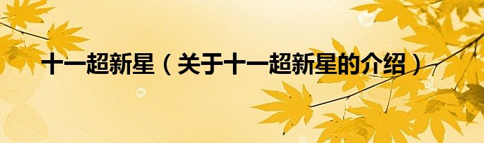 十一超新星（关于十一超新星的介绍）
