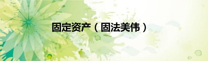 固定资产（固法美伟）