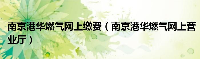 南京港华燃气网上缴费（南京港华燃气网上营业厅）