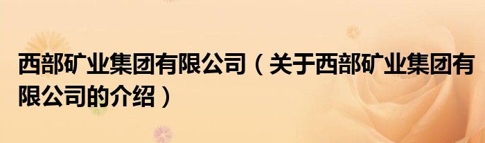 西部矿业集团有限公司（关于西部矿业集团有限公司的介绍）