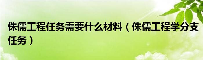 侏儒工程任务需要什么材料（侏儒工程学分支任务）