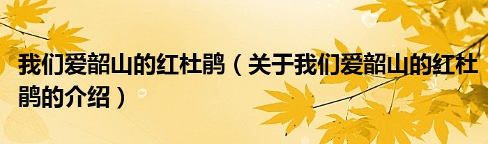 我们爱韶山的红杜鹃（关于我们爱韶山的红杜鹃的介绍）